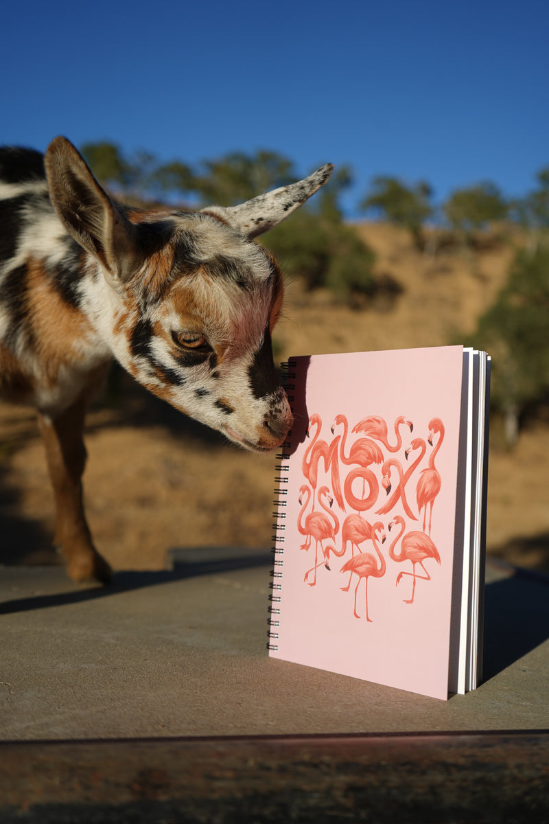 Moxi Flamingo Trick Book